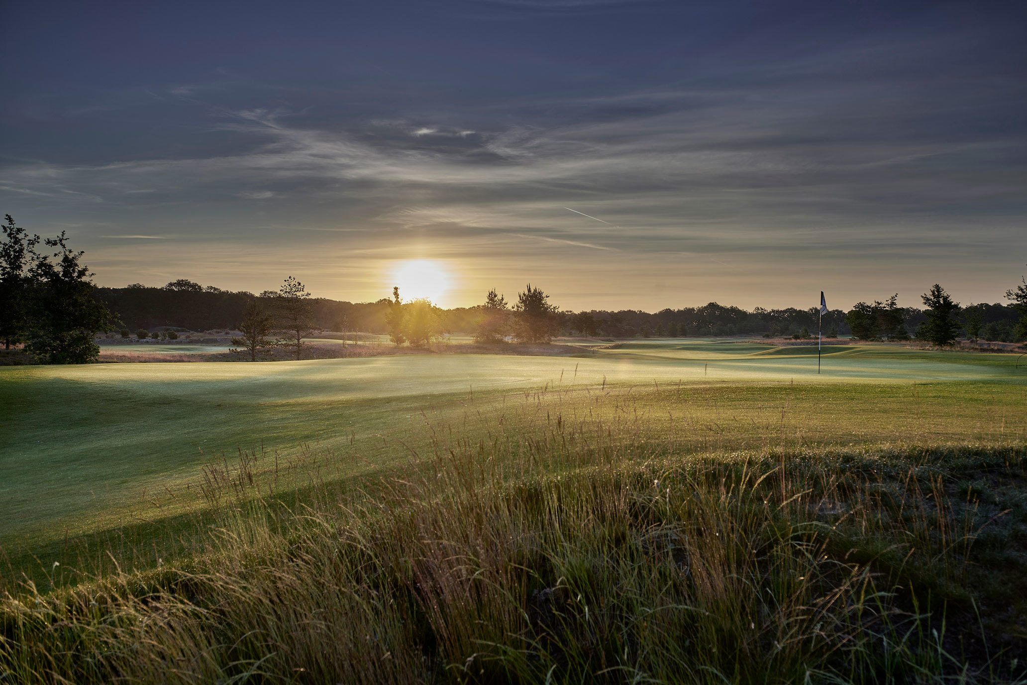 Bernardus Zomer 2021 2a