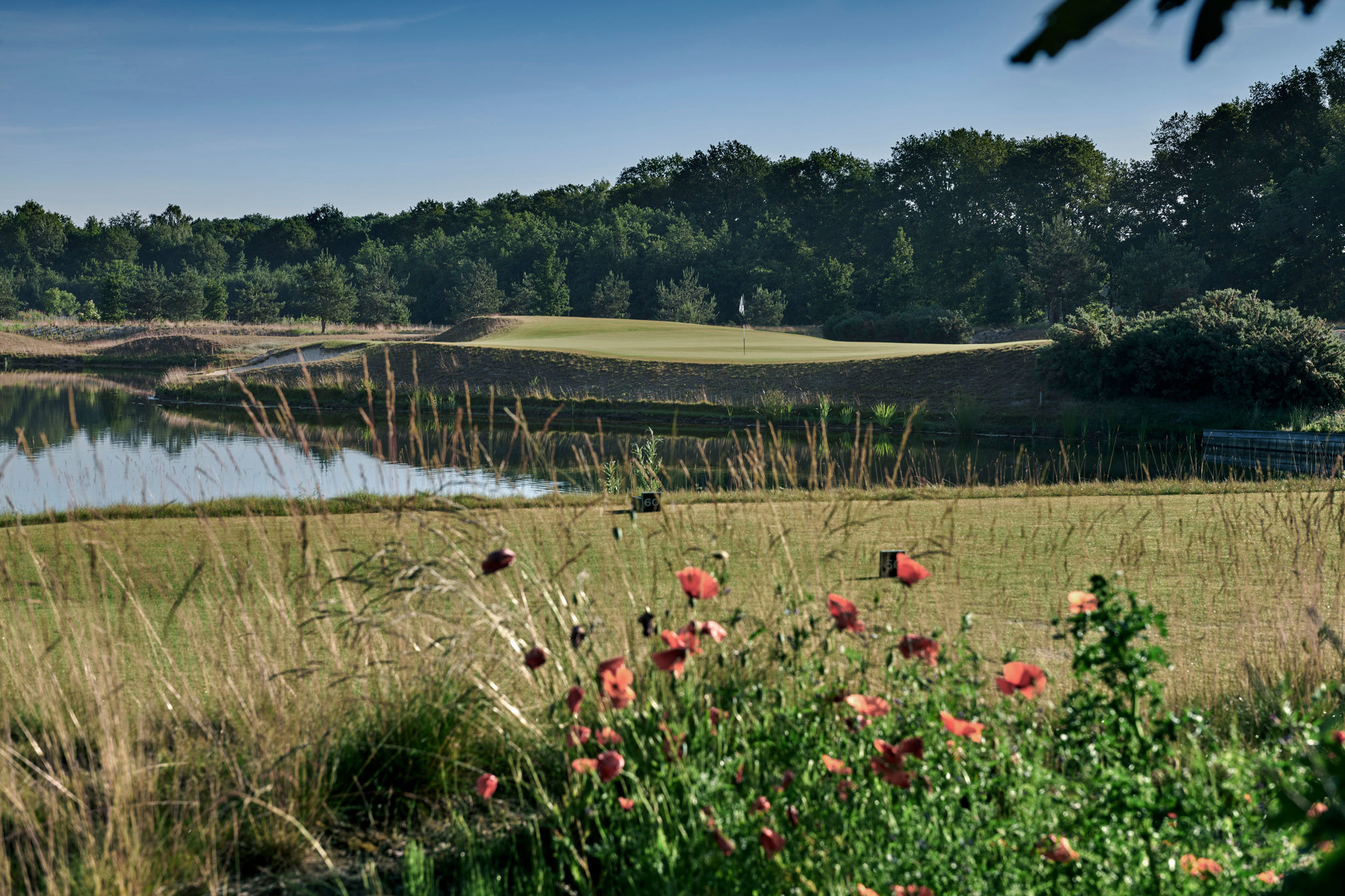 Bernardus Zomer 2021 44a